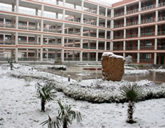 校园雪景 教学楼 庭院